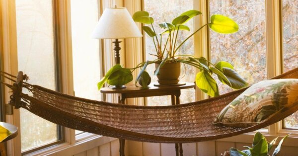 A cozy hammock with a pillow beside a sunroom windows with plants and lamp, overlooking autumn trees.